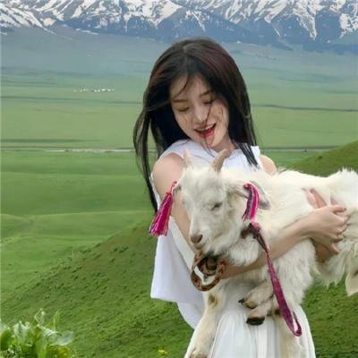 星灵感应真人版